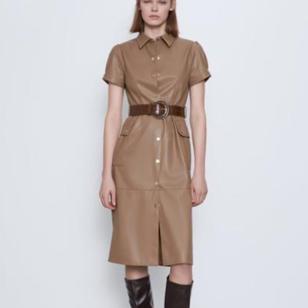 Zara dress
